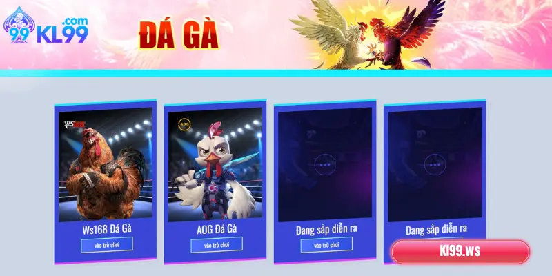 Đá Gà KL99: Sân Chơi Kịch Tính, Thắng Lớn Mỗi Ngày 2 Các sảnh đá gà tại KL99 hot nhất 2025