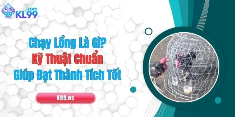 Chạy Lồng Là Gì? Kỹ Thuật Chuẩn Giúp Đạt Thành Tích Tốt 3 Chạy Lồng Là Gì? Kỹ Thuật Chuẩn Giúp Đạt Thành Tích Tốt