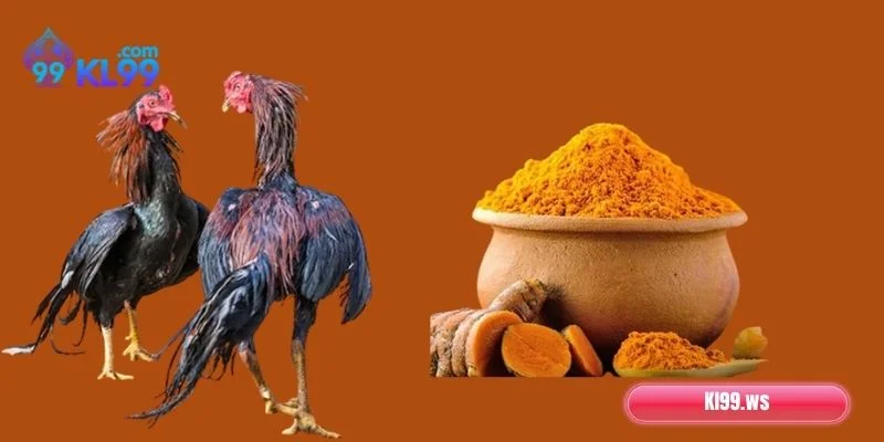 Vào Nghệ Gà Chọi: Hướng Dẫn Thực Hiện Siêu Nhanh, Đơn Giản 2 Lưu ý quan trọng khi vào nghệ cho gà chọi dễ nắm bắt